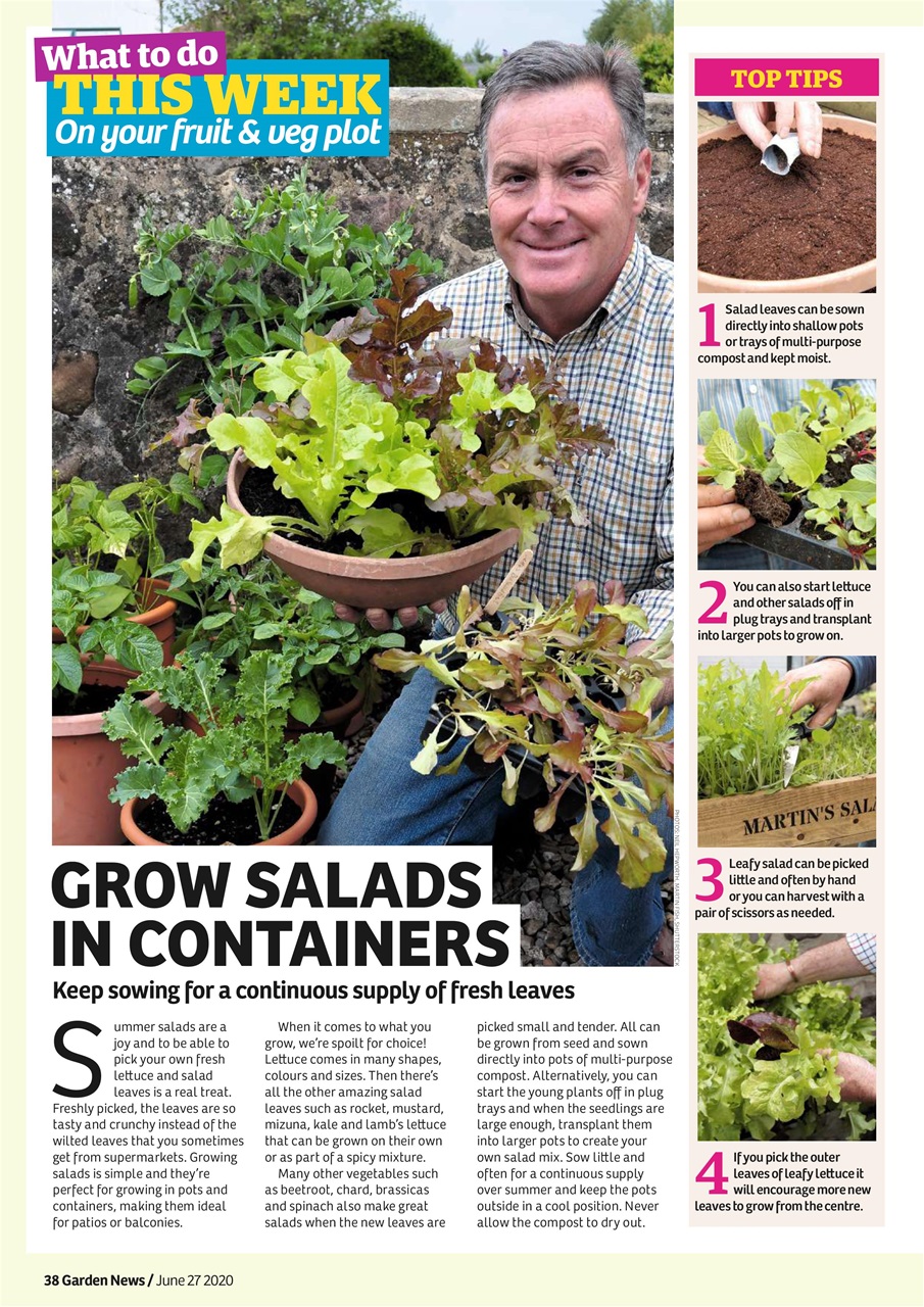 Garden News Preview Pages