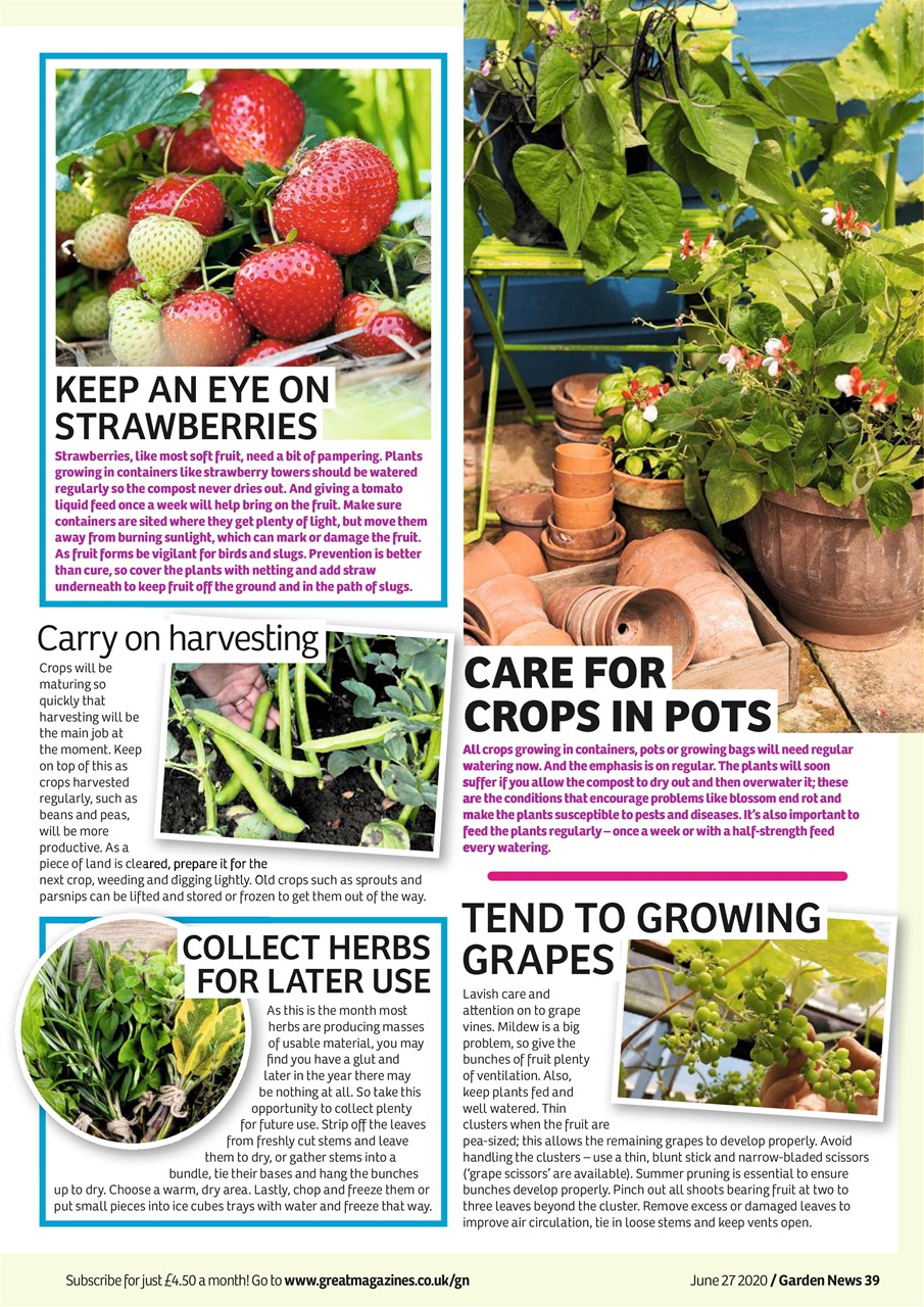 Garden News Preview Pages