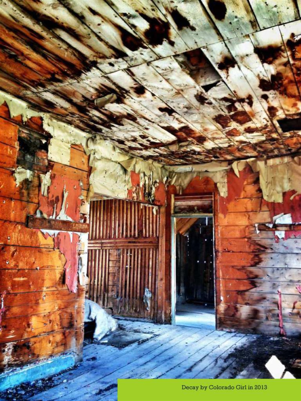 Mobiography Preview Pages