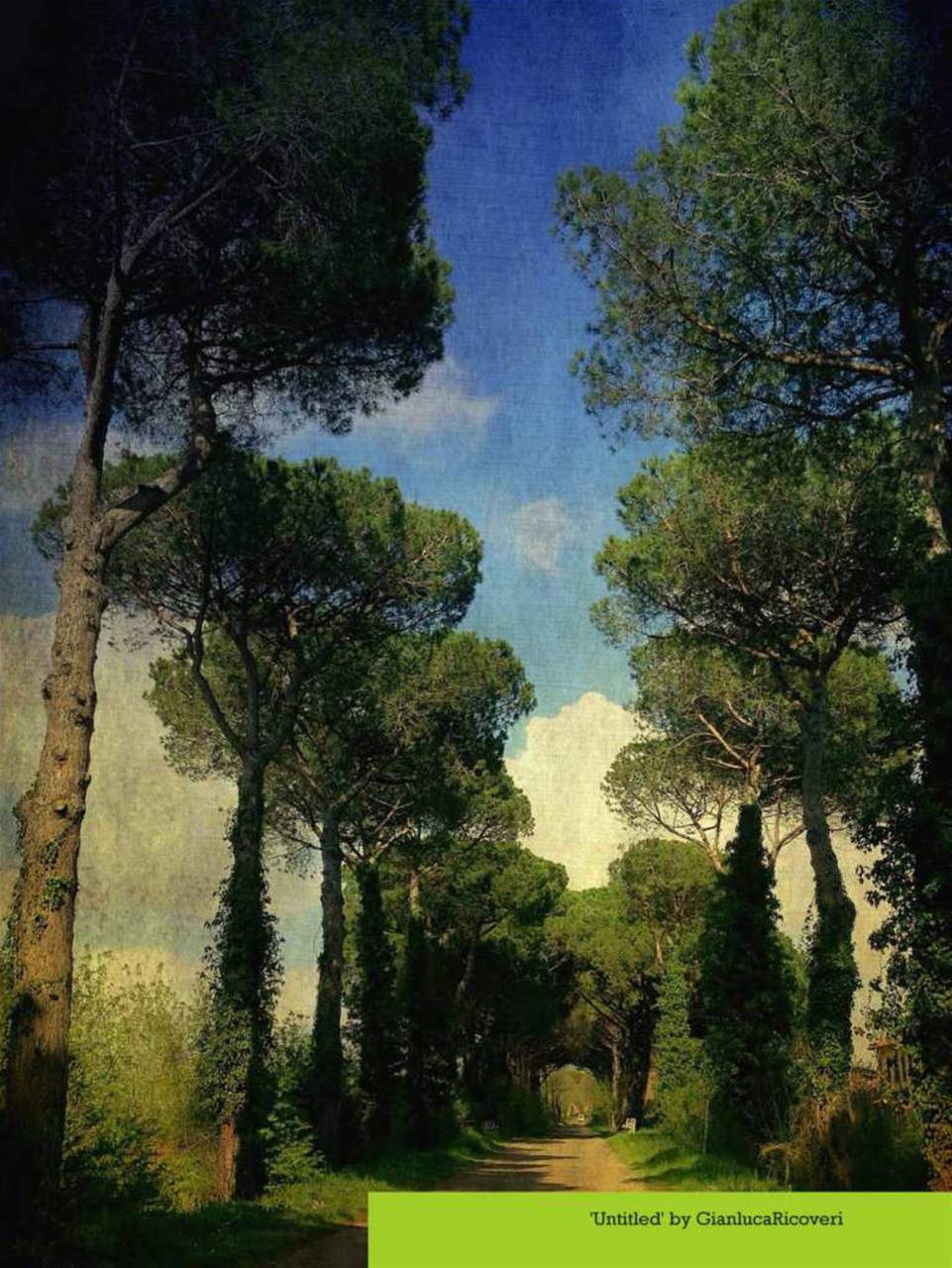 Mobiography Preview Pages