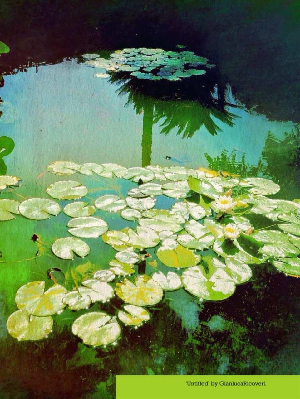 Mobiography Preview Pages