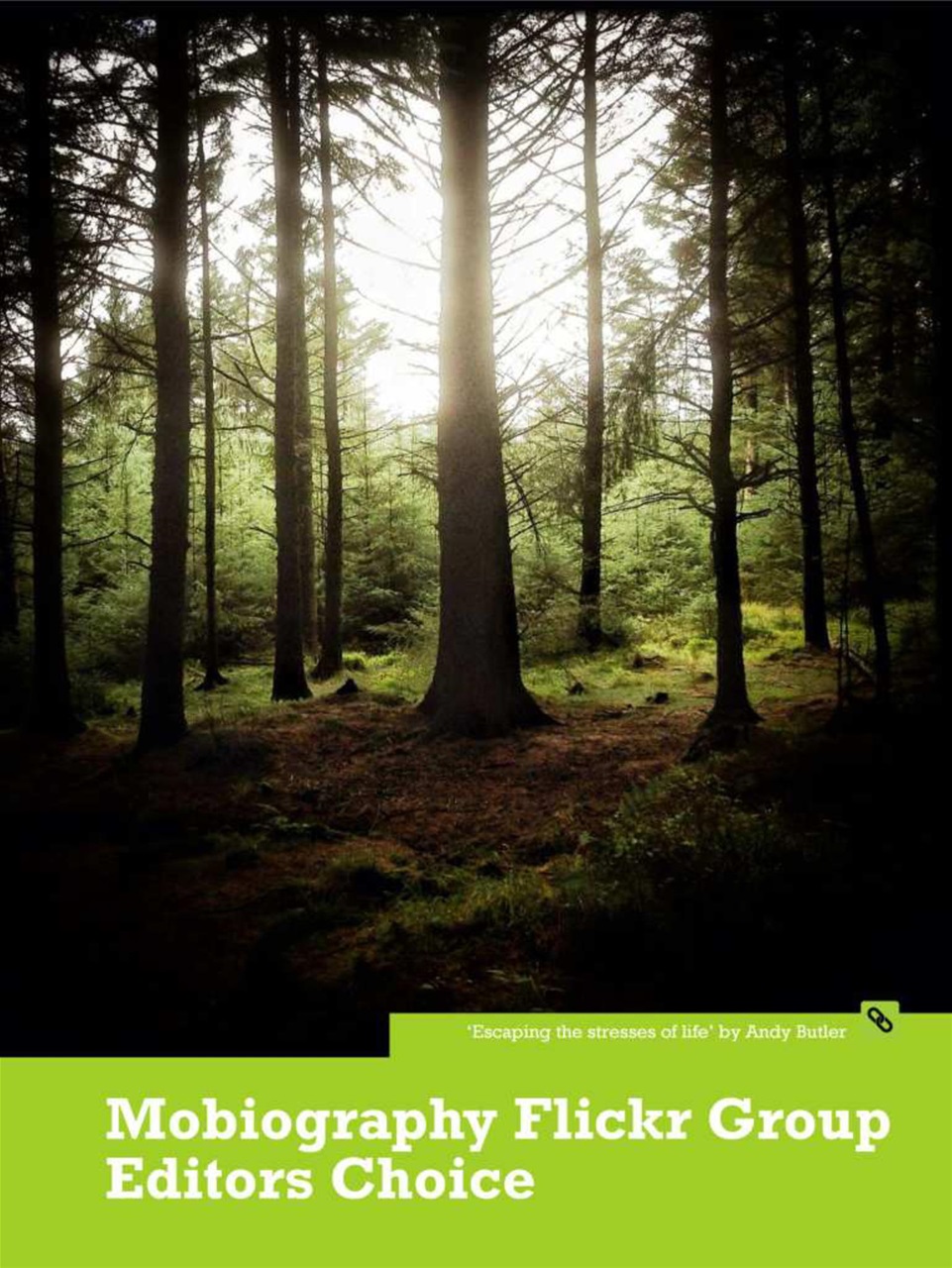 Mobiography Preview Pages