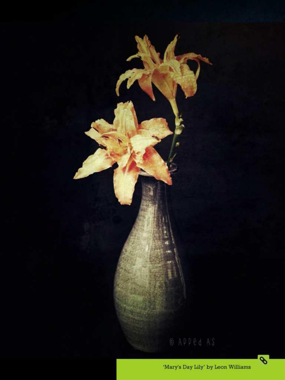 Mobiography Preview Pages