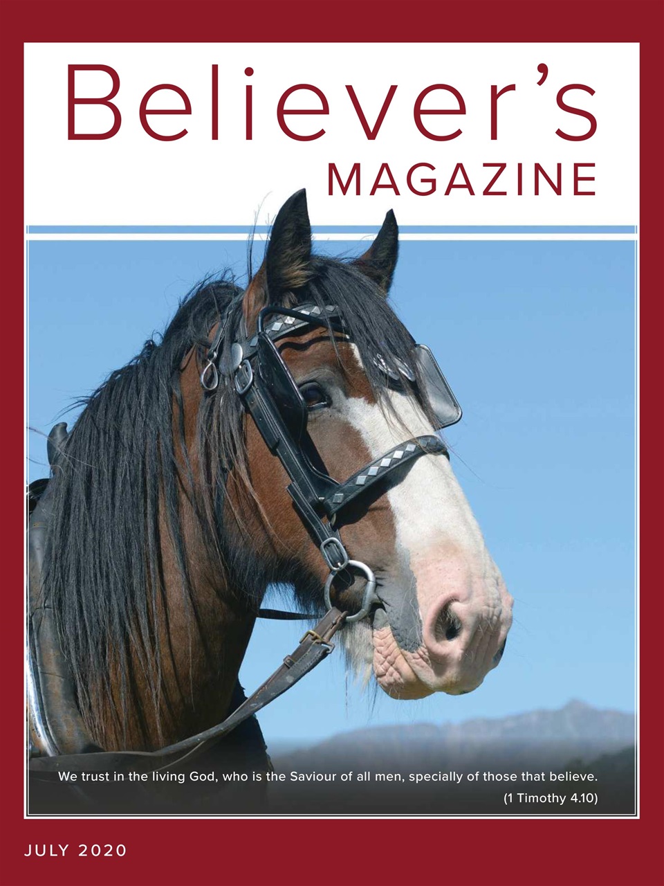 Believer Magazine Preview Pages