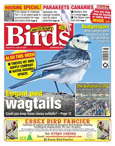 Cage & Aviary Birds issue 24/06/2020