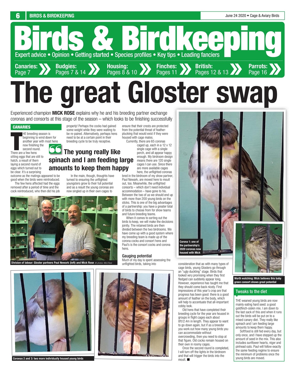 Cage & Aviary Birds Preview Pages