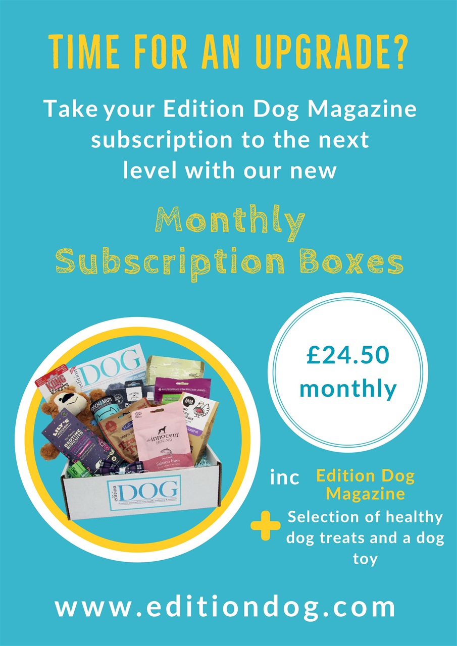 Edition Dog Preview Pages