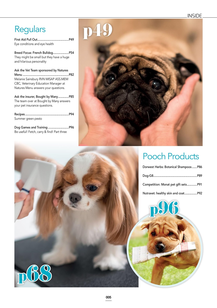 Edition Dog Preview Pages