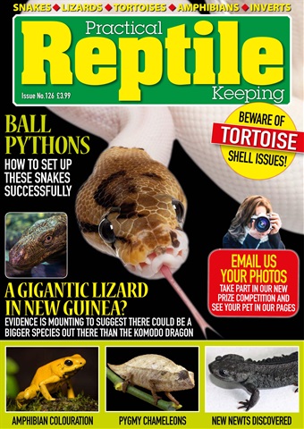 Practical Reptile Keeping issue Issue 126
