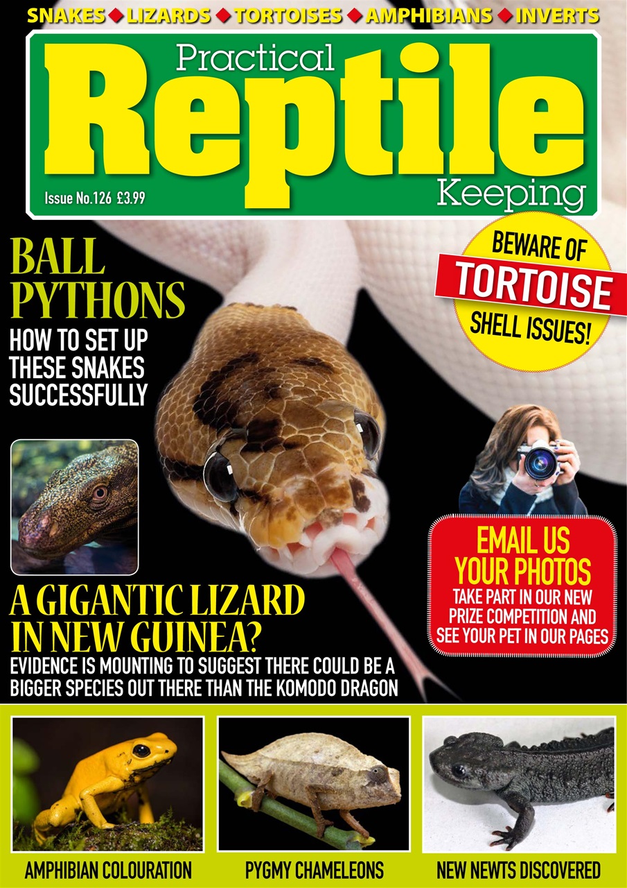Practical Reptile Keeping Preview Pages