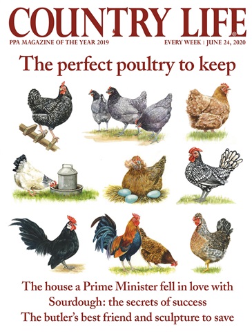 Country Life issue 24-Jun-2020
