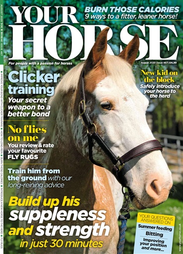Your Horse issue 