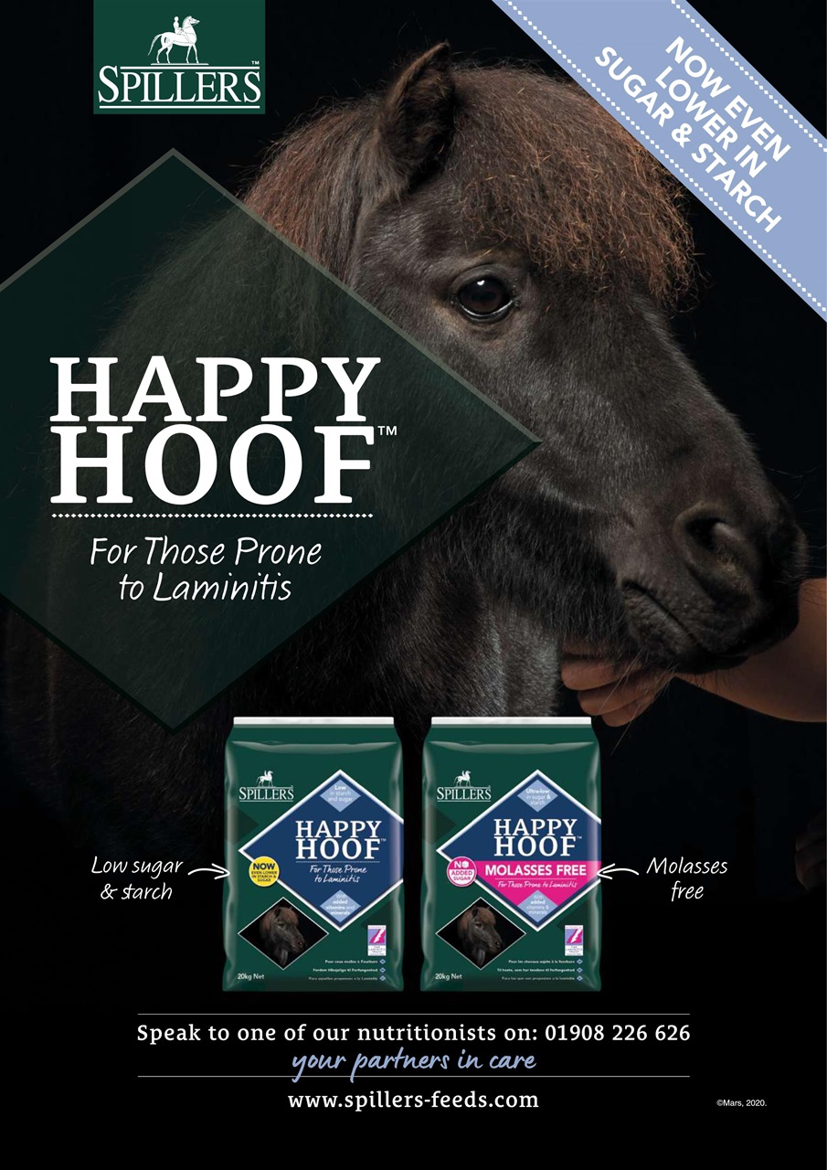 Your Horse Preview Pages