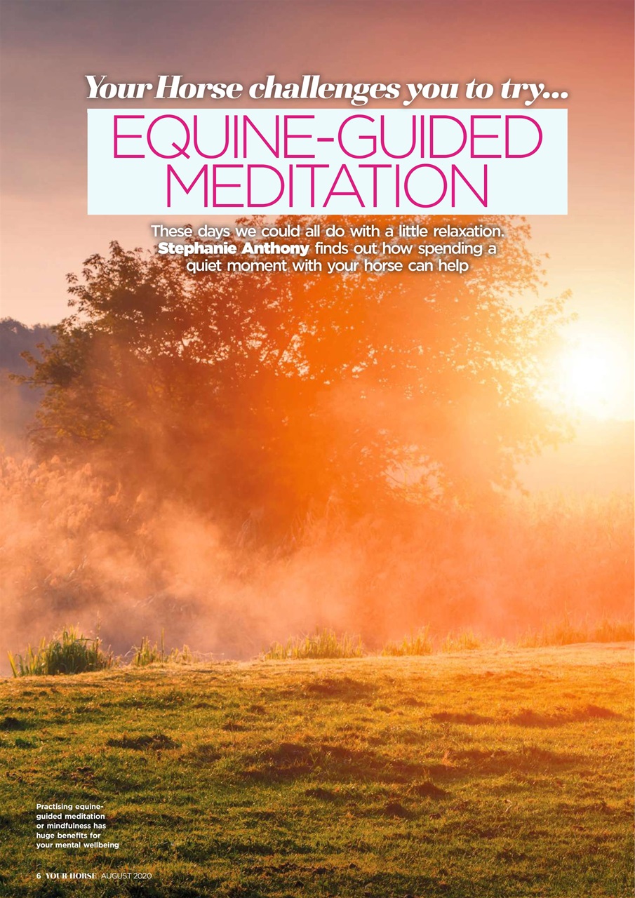 Your Horse Preview Pages