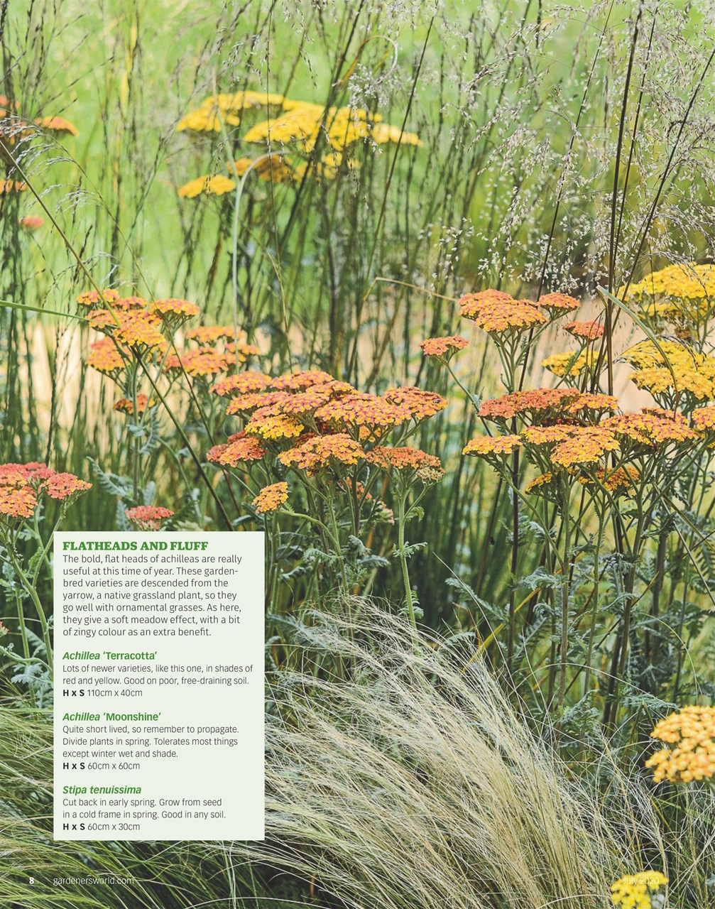 BBC Gardeners’ World Magazine Preview Pages
