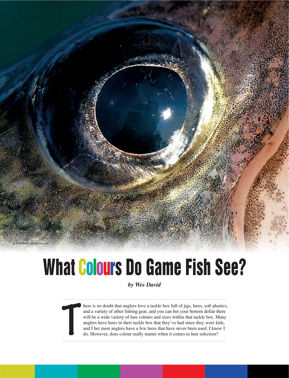 Alberta Outdoors Preview Pages