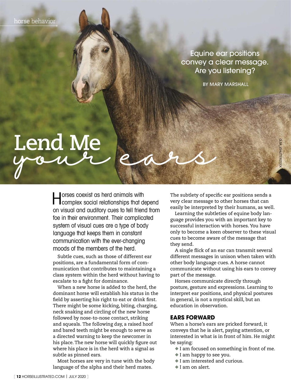 Horse Illustrated Magazine Preview Pages