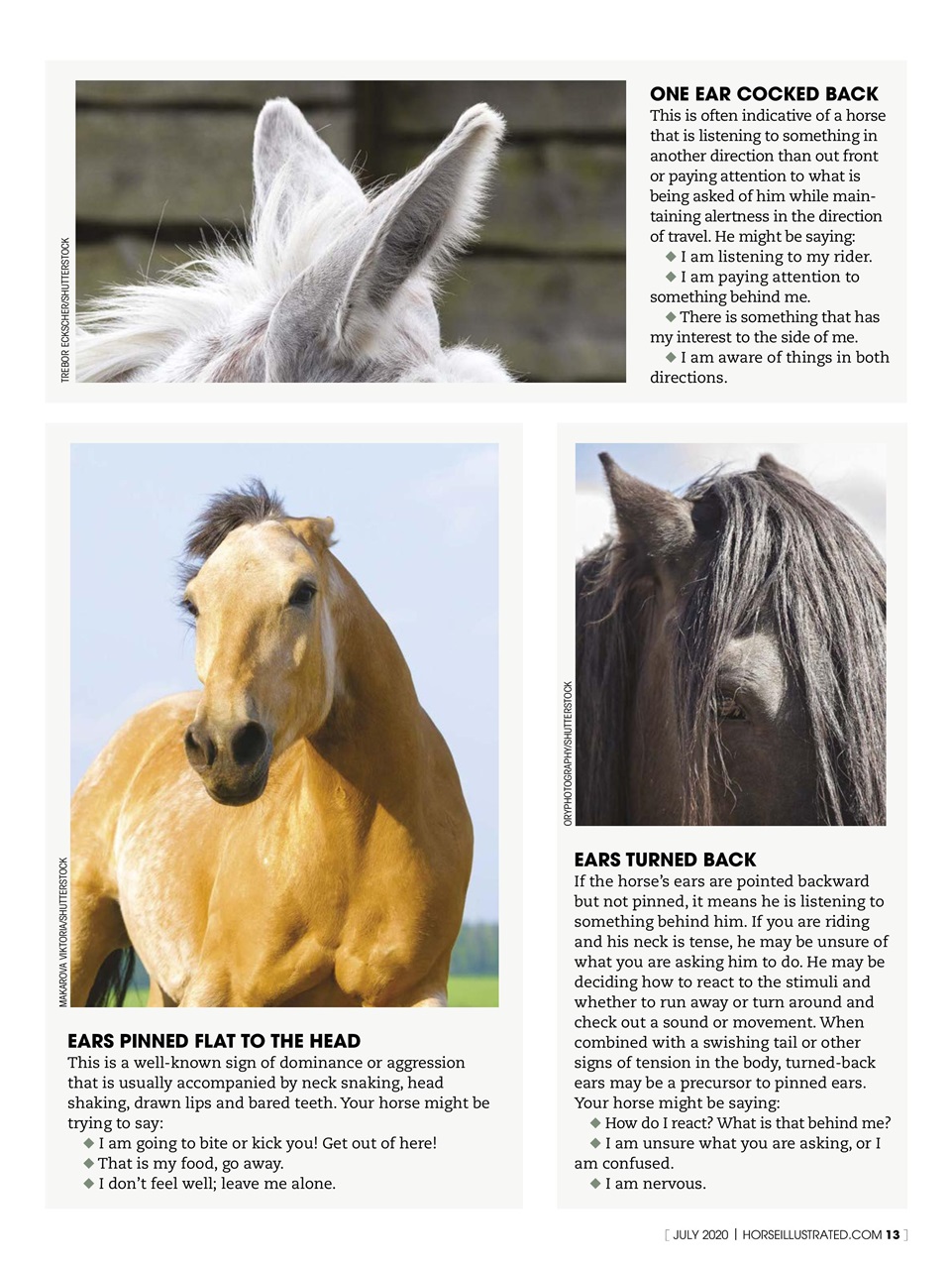 Horse Illustrated Magazine Preview Pages