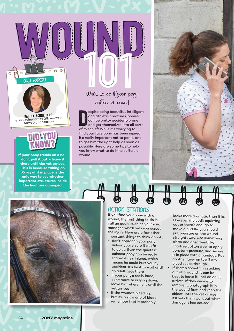 Pony Magazine Preview Pages