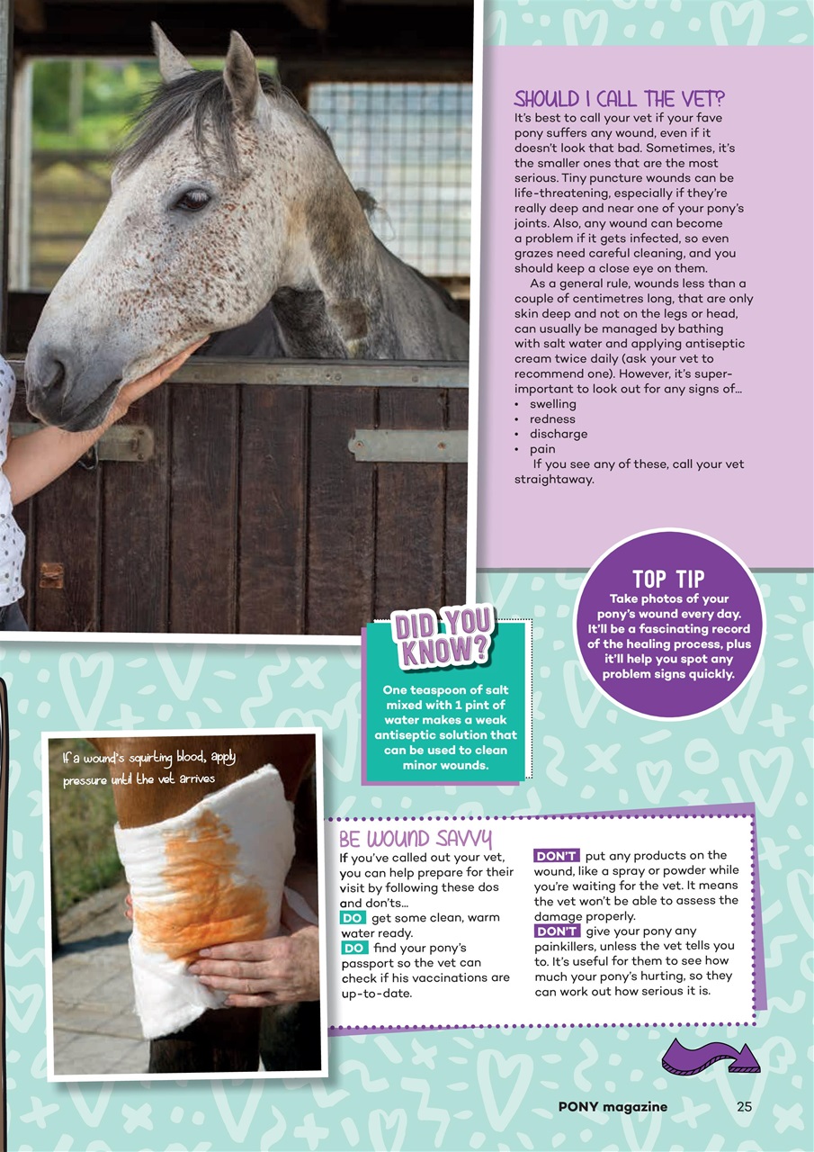 Pony Magazine Preview Pages