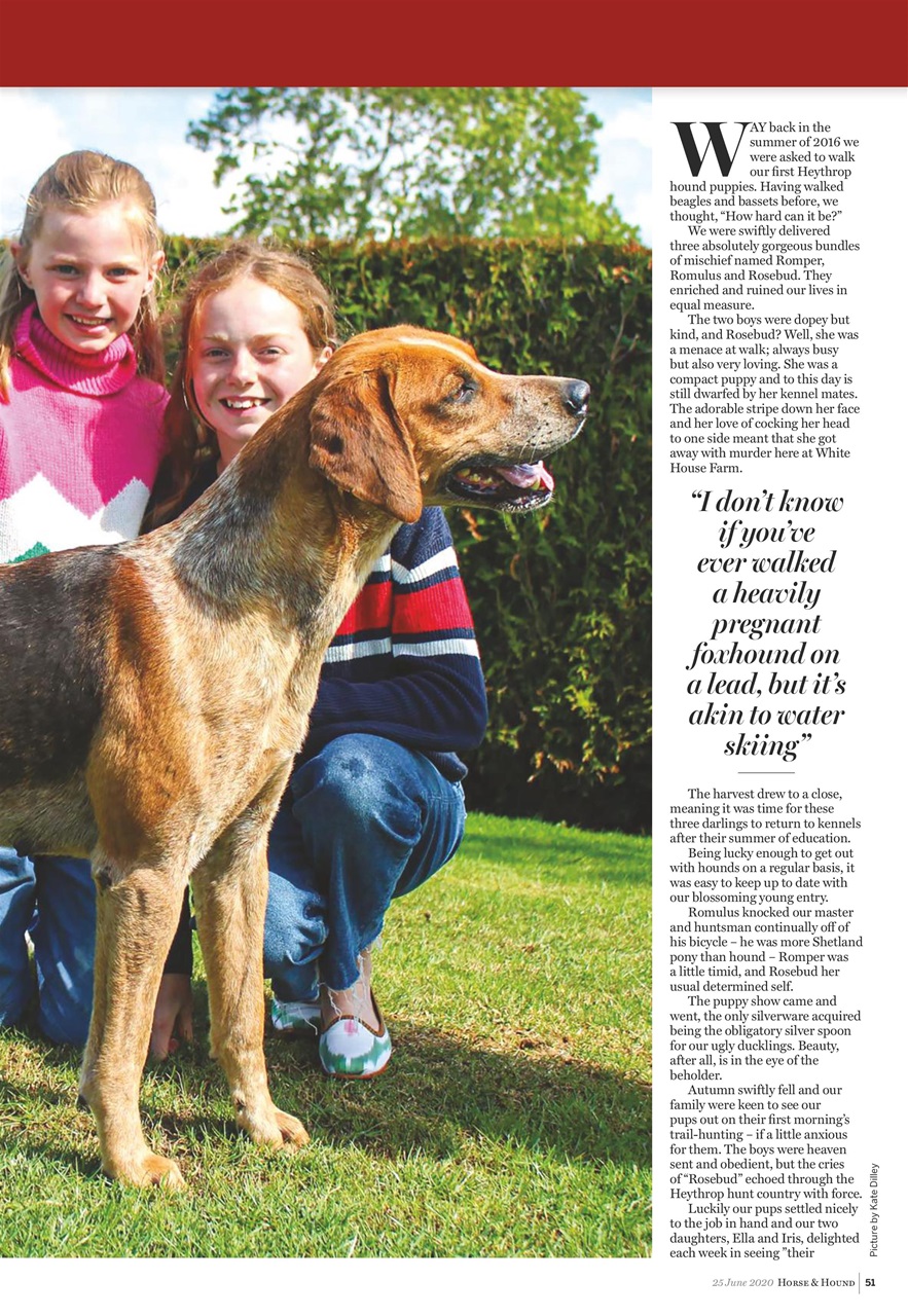 Horse & Hound Preview Pages