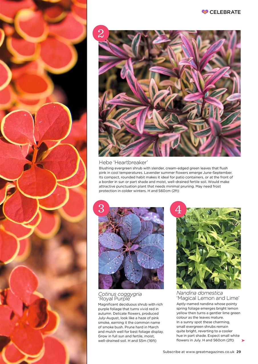 Garden Answers Preview Pages