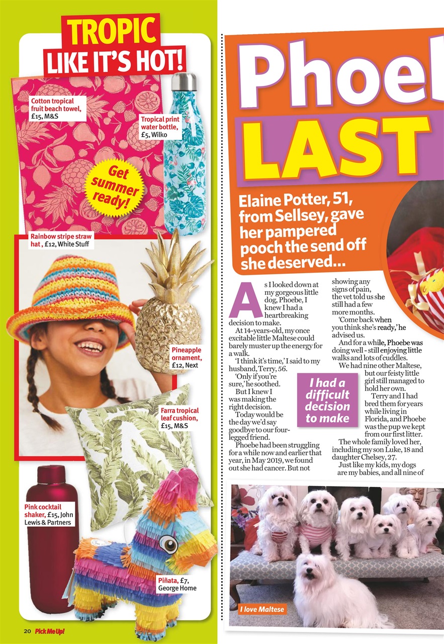 Pick Me Up Preview Pages