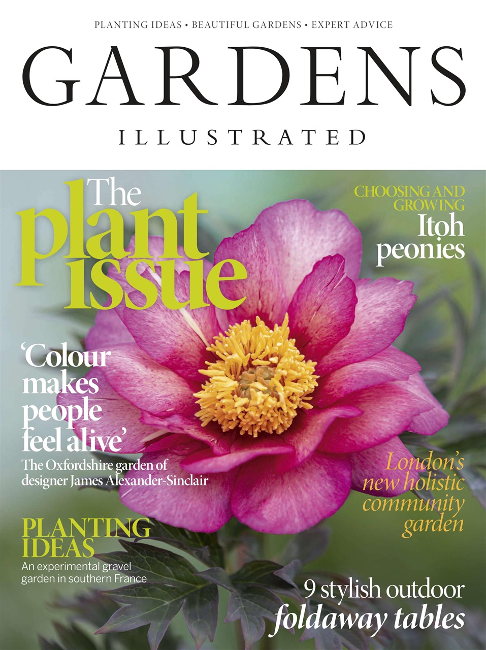 Gardens Illustrated Preview Pages