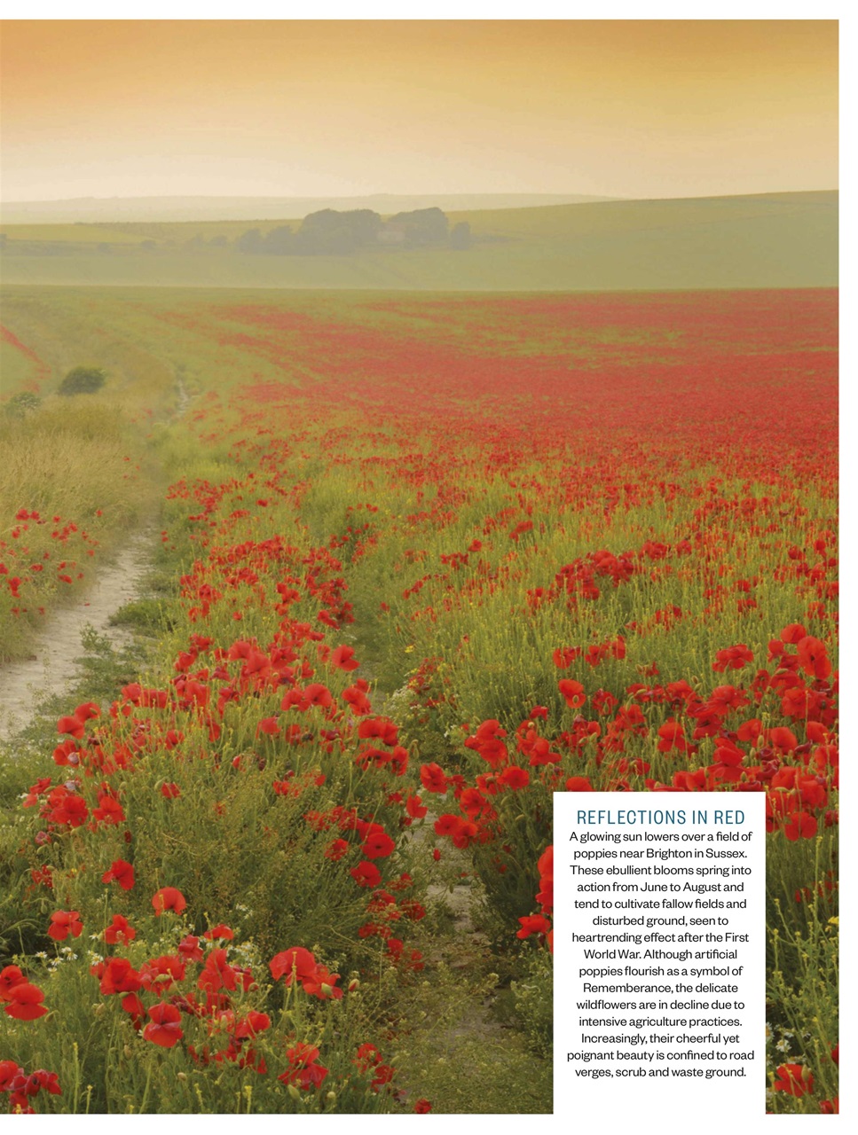 BBC Countryfile Magazine Preview Pages