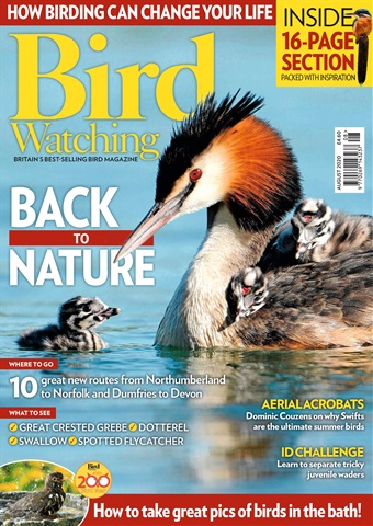 Bird Watching issue Aug 20