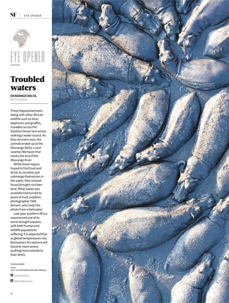 BBC Science Focus Magazine Preview Pages