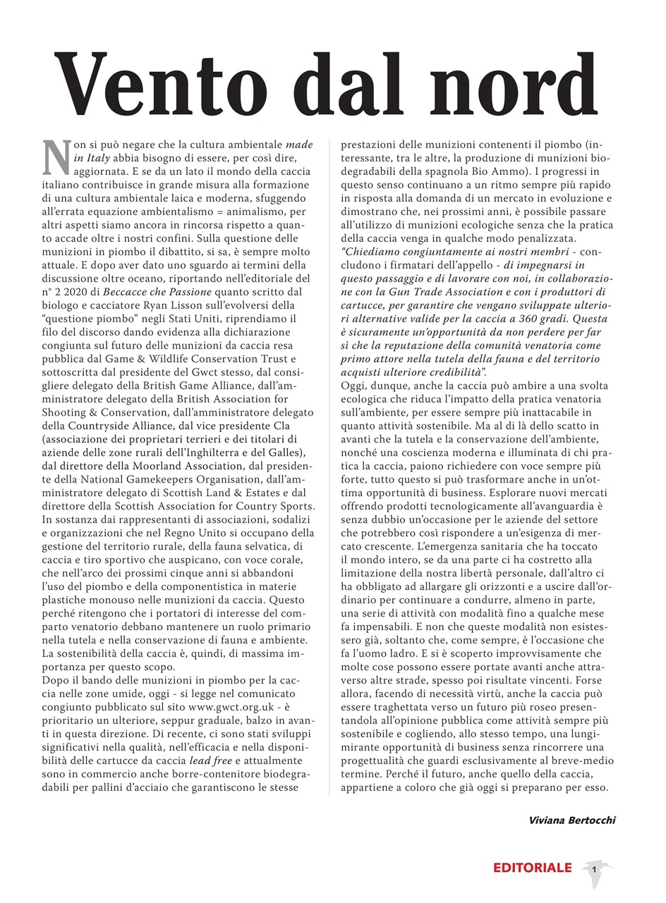 BECCACCE CHE PASSIONE Preview Pages