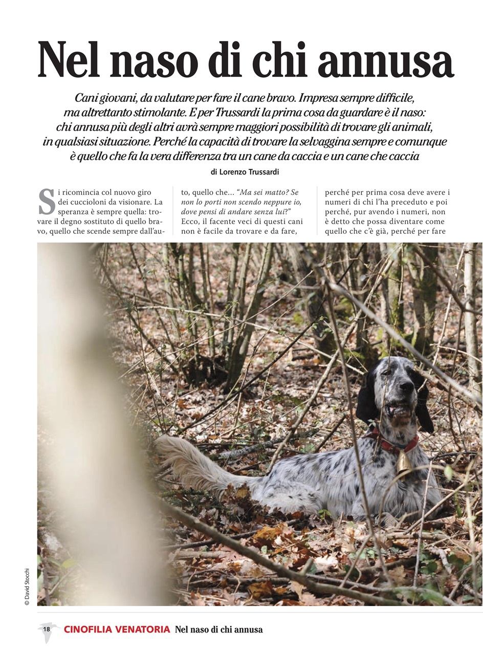 BECCACCE CHE PASSIONE Preview Pages