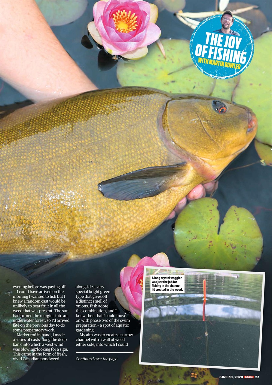 Angling Times Preview Pages