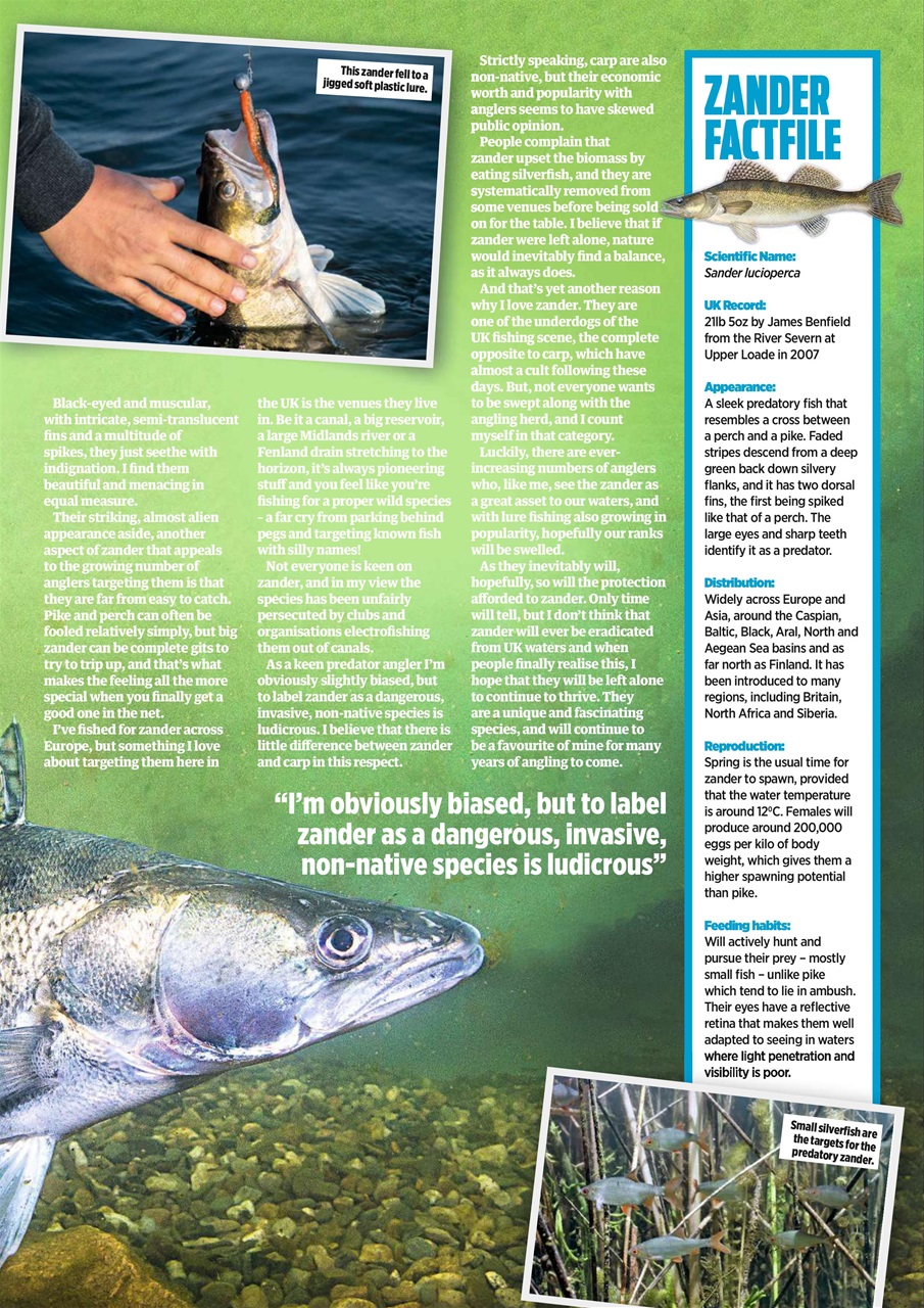 Angling Times Preview Pages