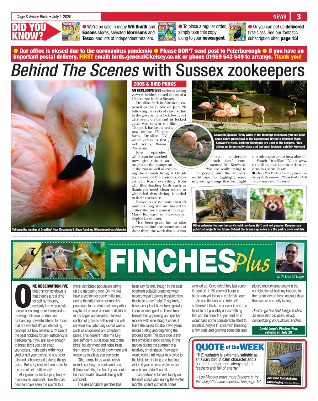 Cage & Aviary Birds Preview Pages
