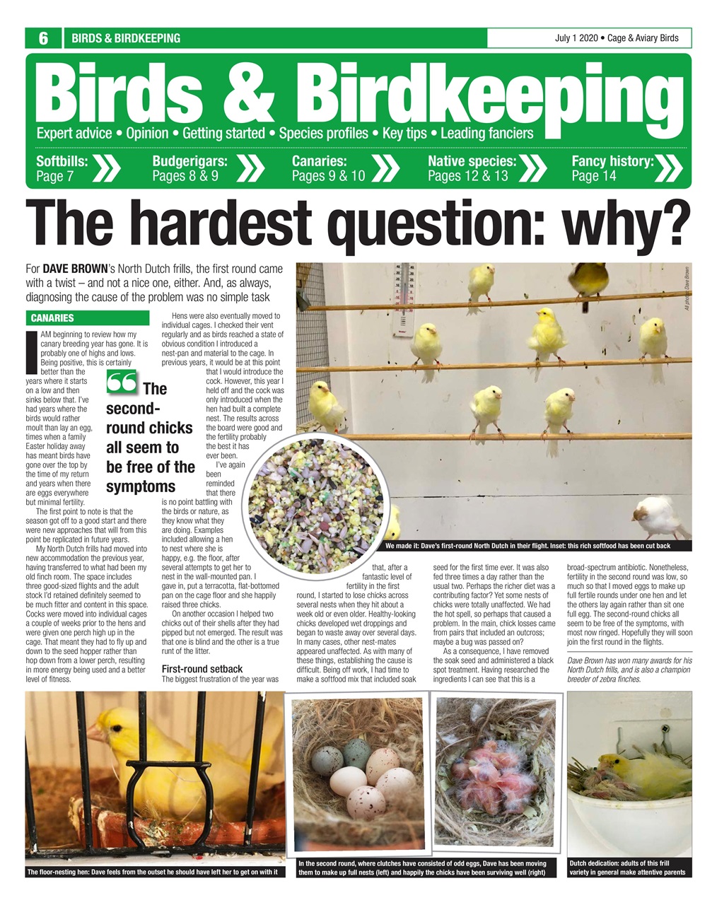 Cage & Aviary Birds Preview Pages