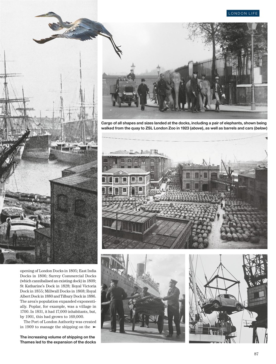 Country Life Preview Pages