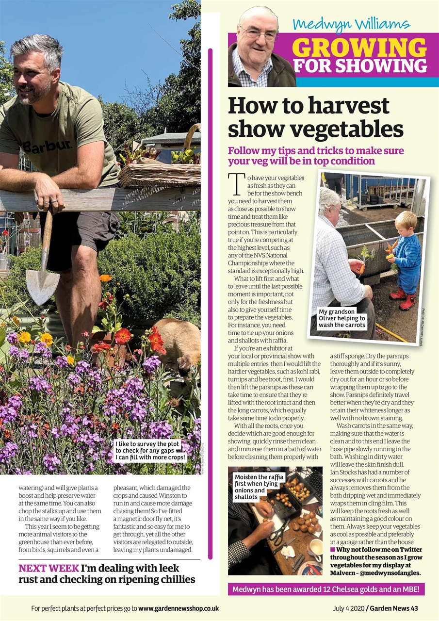 Garden News Preview Pages