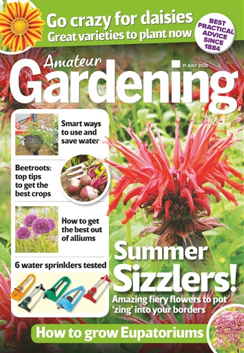 Amateur Gardening issue 