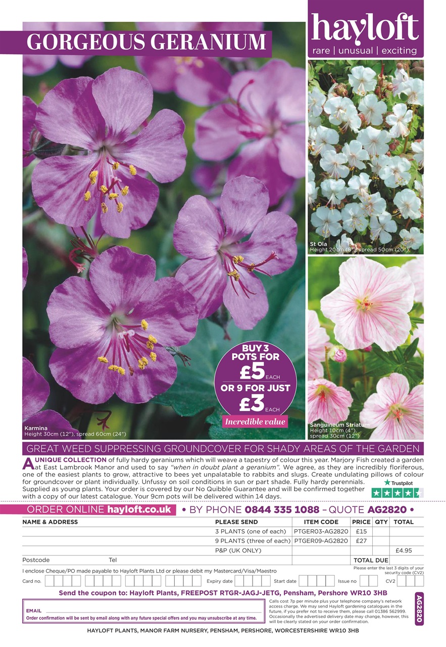 Amateur Gardening Preview Pages