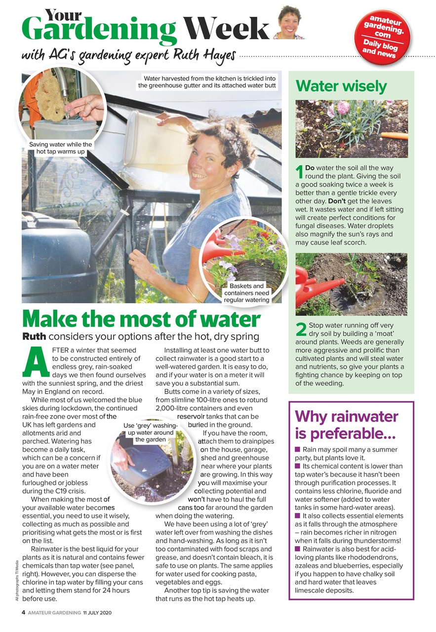 Amateur Gardening Preview Pages