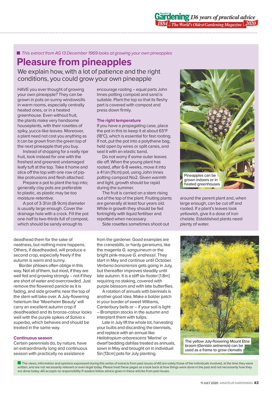Amateur Gardening Preview Pages