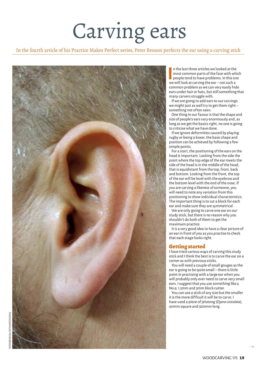 Woodcarving Preview Pages