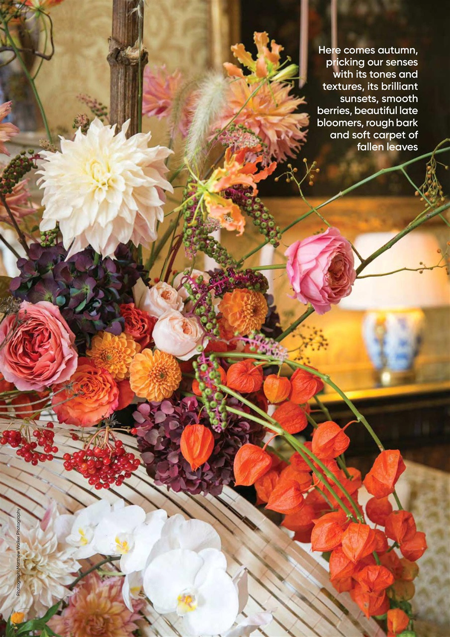 The Flower Arranger Preview Pages