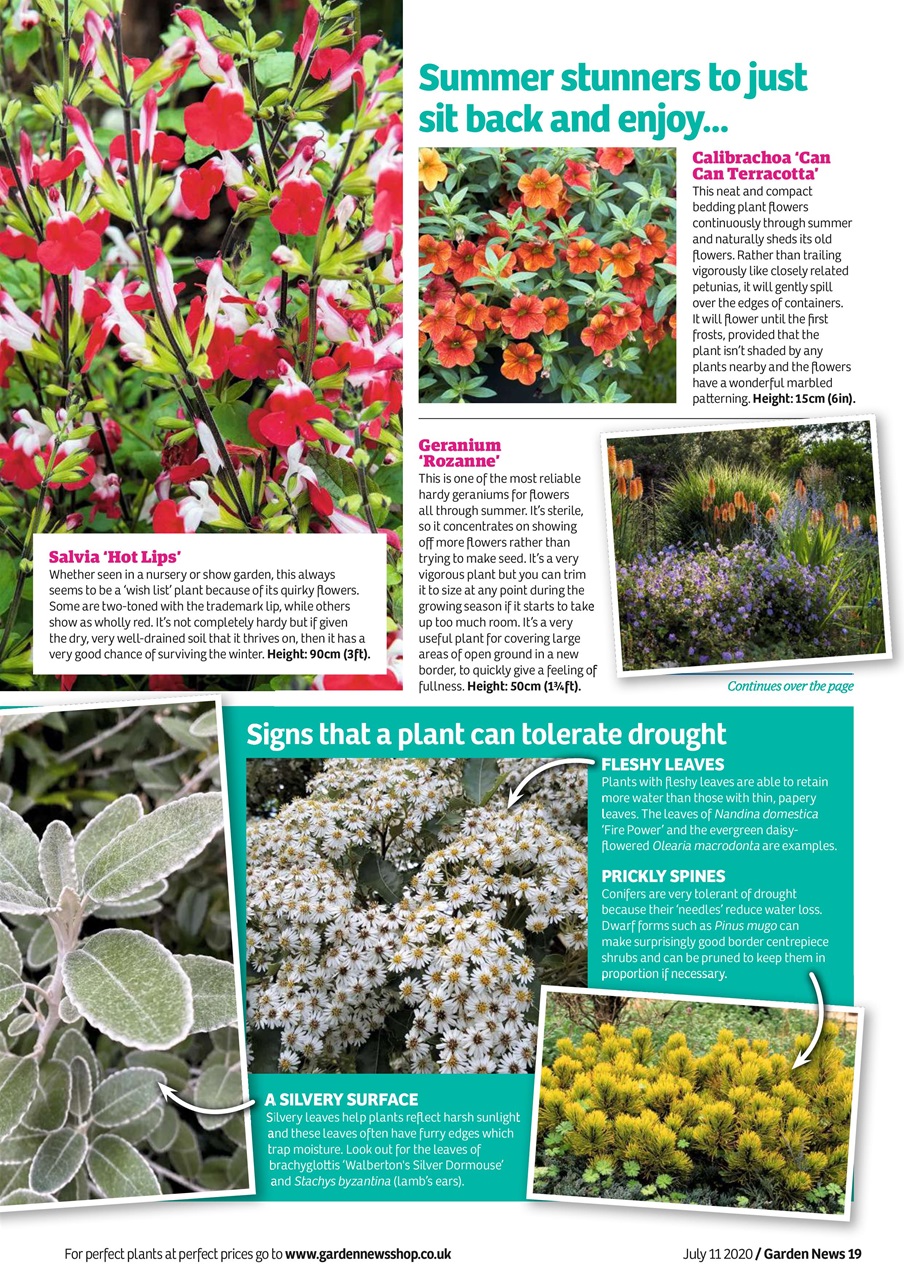 Garden News Preview Pages