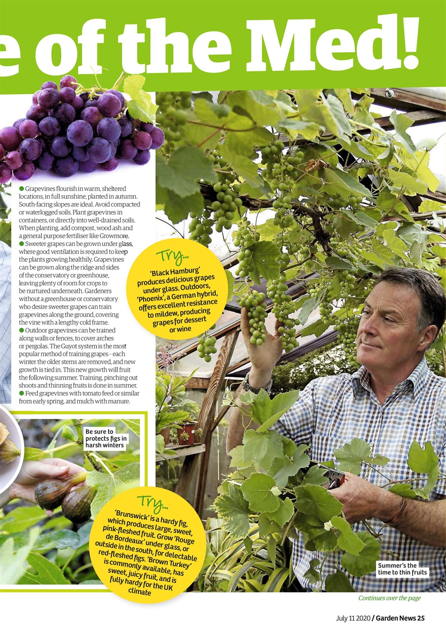 Garden News Preview Pages