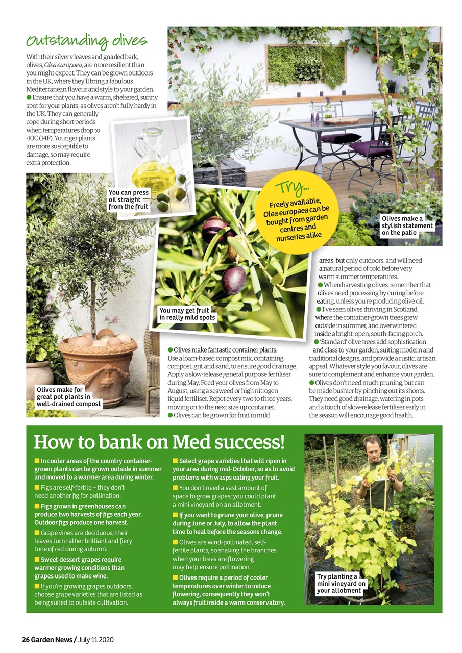 Garden News Preview Pages