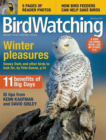 BirdWatching issue Jan/ Feb 2017