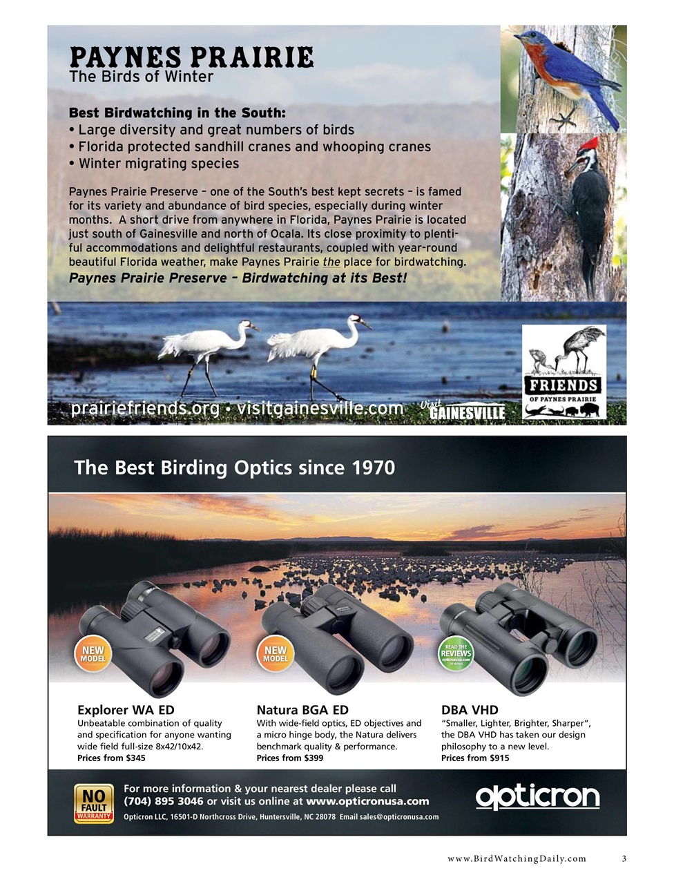 BirdWatching Preview Pages